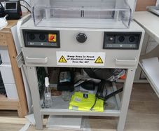 Electronic Guillotine