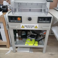 Electronic Guillotine