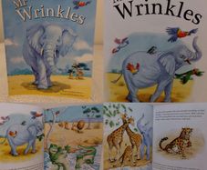 Mr Wrinkles Children,s Story Book