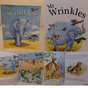 Mr Wrinkles Children,s Story Book