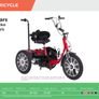 Colt Tricycle Special Needs Adaptive Trike (Like New) Image 3