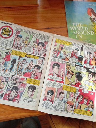 Old Vintage Annuals 70's and 80's