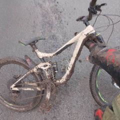 Giant Reign Sx