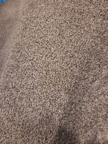 Carpet