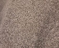 Carpet