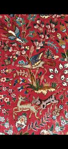 Stunning Tree of Life  50 Raj Tabriz Wool and Silk Hand Knotted Rug Carpet Persian