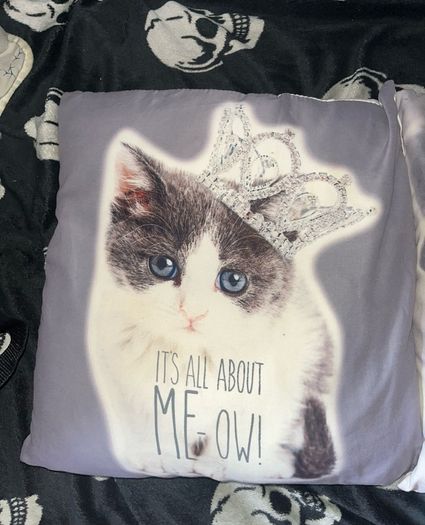 Its All About Me-ow! Cushion