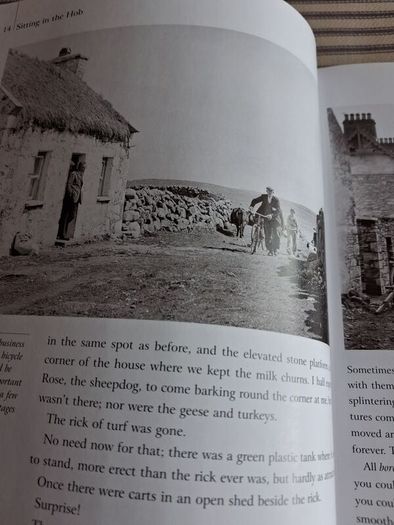 Book. Yesterday's Ireland.