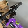 Frog bike 52 Image 2