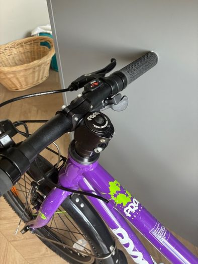 Frog bike 52