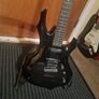 Esp ltd f10 Image 3