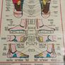 Vintage 1983 International Institute of Reflexology Foot Chart Dwight C. Byers Image 5