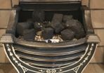 Fire Insert