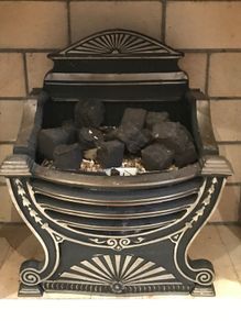 Fire Insert