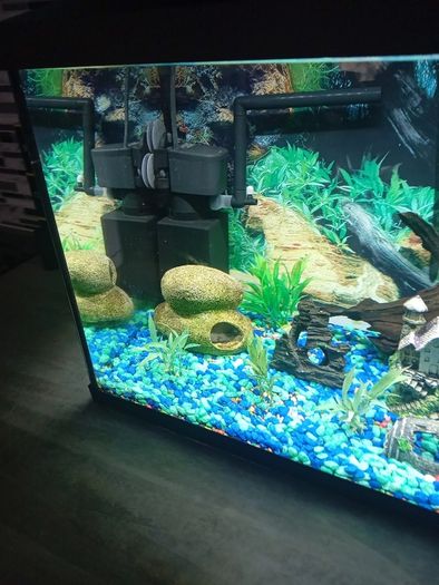 fish tank