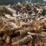 Firewood  For Sale Image 4