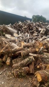 Firewood  For Sale
