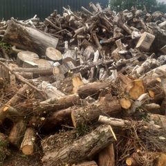 Firewood  For Sale