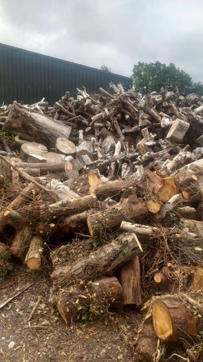 Firewood  For Sale