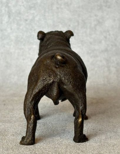 Bulldog - Cold Painted Bronze, Signed