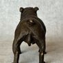 Bulldog - Cold Painted Bronze, Signed Image 9