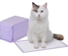 Cat litter box pads