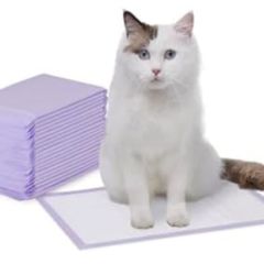 Cat litter box pads