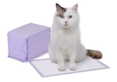 Cat litter box pads