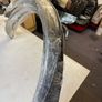 chrome arches for classic mini Image 2