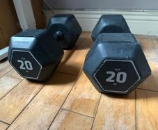20kg hex dumbbells