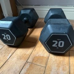 20kg hex dumbbells