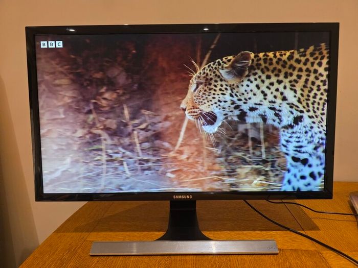 4K UHD 28" Samsung Monitor + 8K60hz USB-C to Display Port Lead