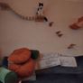 cat wall Image 2