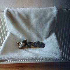 Cat bed