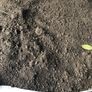 screened topsoil Image 6