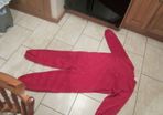Large red costume..sesame street....