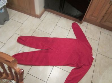 Large red costume..sesame street....