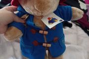 Paddington Teddy Bear