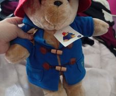 Paddington Teddy Bear