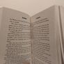 A gambling man by David Baldacci Image 5