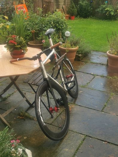 BLB viper track frameset