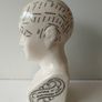 phrenology bust Image 4