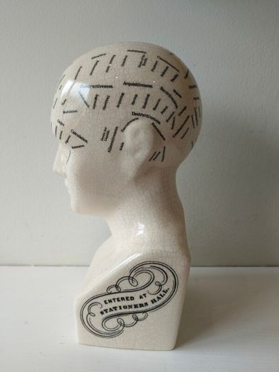 phrenology bust