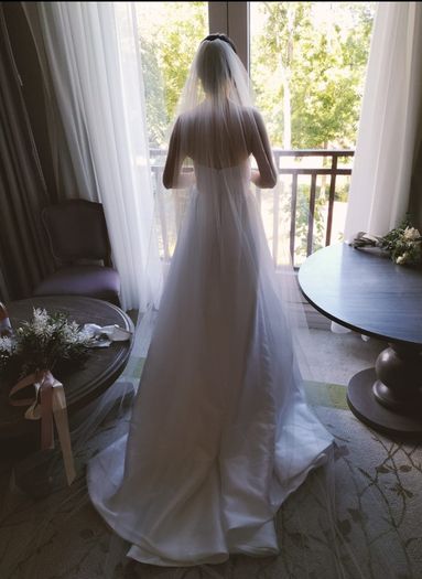 Mariana Hardwick- Rose Gown