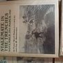 A Military History of World War 1 books Image 5