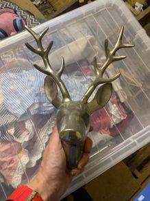 silver deer head