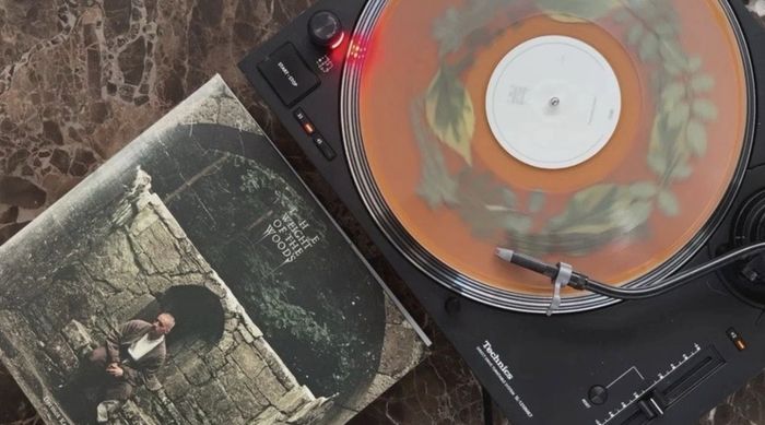 Dermot Kennedy "The Weight Of The Woods" Vinyl - Limited Woodland Green Edition LP - Rare 180g Collectible - Irish Indie-Pop Exclusive