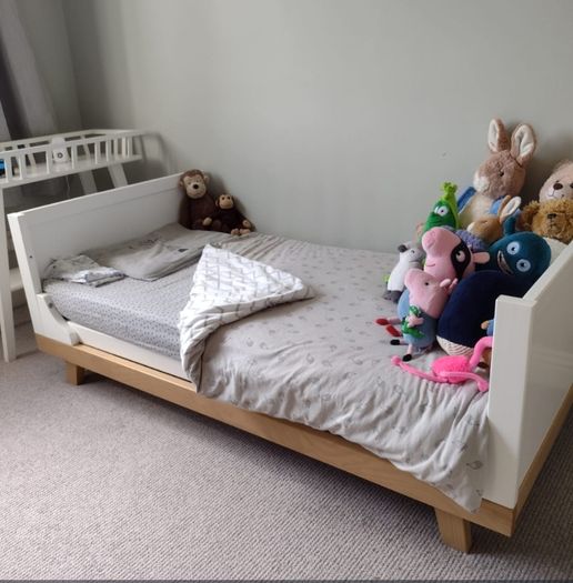 Free Cot/bed