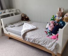 Free Cot/bed