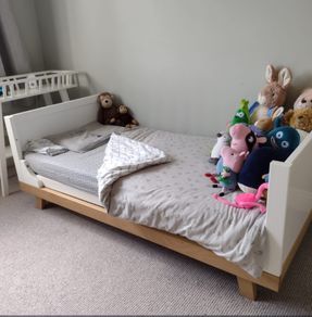 Free Cot/bed